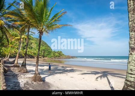 Itacaré, Brasilien - 7. Dezember 2016: spektakuläre und beeindruckende Paradise Beach an der Itacaré Bahia, Brasilien Nordosten Stockfoto