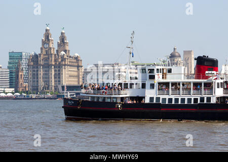 Die mersey Fähre Royal Iris segeln vorbei an der Leber Gebäude auf dem Mersey Liverpool UK. Stockfoto