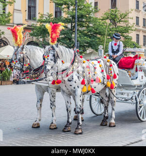 Pferd und Kutsche warten auf Passagiere in der (mittelalterlichen) Marktplatz in der Altstadt von Krakau in Polen. Stockfoto