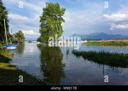 Chiemsee Hochwasser überflutet, Juni 2013, Hafen, Harras Prien, Chiemgau, Oberbayern Deutschland Europa Stockfoto