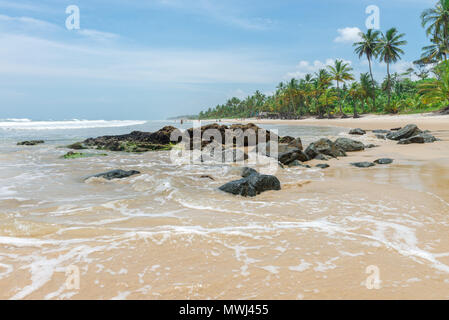 Itacaré, Brasilien - 7. Dezember 2016: Erstaunlich grün Natur am Itacarezinho Strand in Bahia Stockfoto