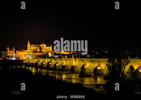 Nächtliche Foto von Cordoba, die Kathedrale und die römische Brücke über den Fluss Guadalquivir, alle von der gelben Lampen und Laternen beleuchteten Stockfoto
