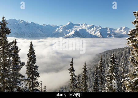 Alpine Valley gefüllt mit niedrigen Cloud und schneebedeckte Tannen in Zell am See, Österreich Stockfoto