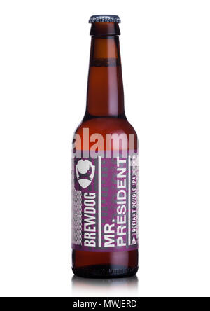 LONDON, UK, 01. JUNI 2018: Flasche Herr Präsident IPA Bier aus der Brauerei Brewdog auf weißem Hintergrund. Stockfoto