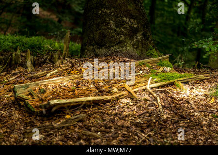 Im Holz Stockfoto