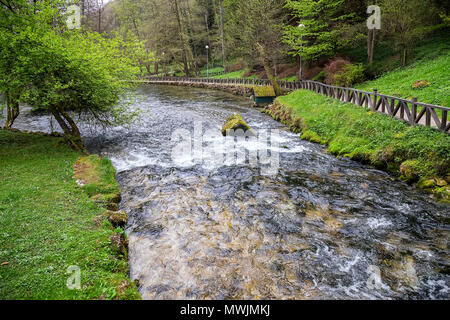 Bosna Flusses im Naturpark Vrelo Bosne in der Nähe von Sarajevo, Bosnien und Herzegowina. Stockfoto