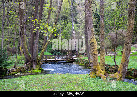 Naturpark Vrelo Bosne in der Nähe von Sarajevo, Bosnien und Herzegowina. Stockfoto