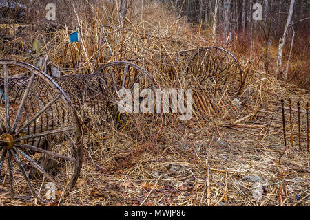 Alte Heu harken sitzen nur Rost entfernt, zusammen mit dem Eisernen Tor, und der kleine blaue Vogel Haus vergessen. Aber touristische und antiken Händler möchten Sie alle. Stockfoto