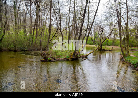 Quellen des Flusses Bosna in Vrelo Bosne in der Nähe von Sarajevo, Bosnien und Herzegowina. Stockfoto