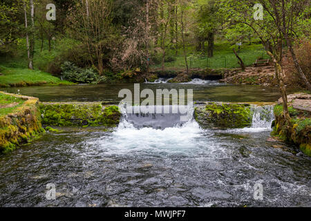 Die Bosnien Fluss Quelle in der Natur Park Vrelo Bosne in der Nähe von Sarajevo, Bosnien und Herzegowina. Stockfoto