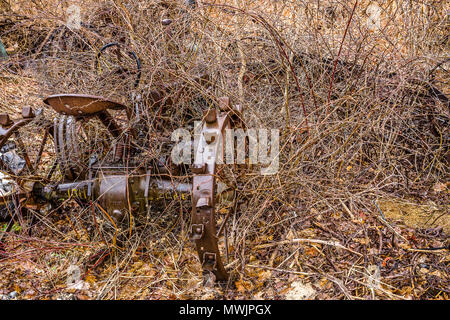 Alte Heu harken sitzen nur Rost entfernt, zusammen mit dem Eisernen Tor, und der kleine blaue Vogel Haus vergessen. Aber touristische und antiken Händler möchten Sie alle. Stockfoto