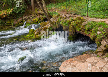 Die Quelle der Fluss Bosna im Naturpark Vrelo Bosne in der Nähe von Sarajevo, Bosnien und Herzegowina. Stockfoto