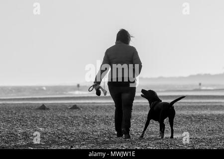 Schwarz-weiß Bild von Frau und ihr Hund Wandern auf windigen Strand. Der Hund suchen, um sich bei der Frau, als wenn auf eine Behandlung oder Operation. Stockfoto
