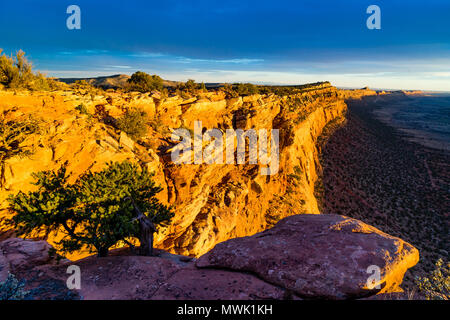 Blick nach Süden entlang Comb Ridge Klippen von oben im Abendlicht, Kamm unten Waschen, nördlich von Highway 95 West von Blanding, Utah und nördlich von Täuschung, Utah USA Stockfoto