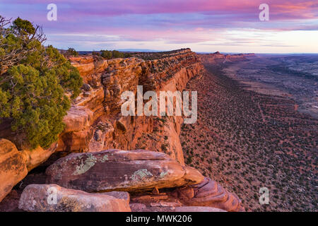 Blick nach Süden entlang Comb Ridge Klippen von oben im Abendlicht, Kamm unten Waschen, nördlich von Highway 95 West von Blanding, Utah und nördlich von Täuschung, Utah USA Stockfoto