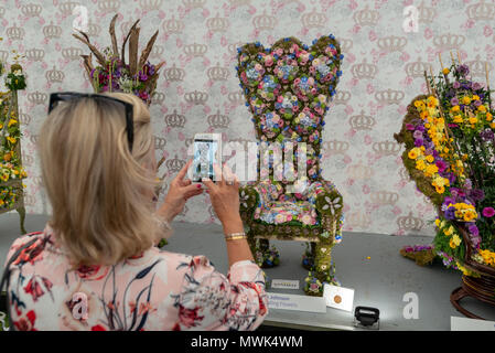 Ein Besucher der RHS Chelsea Flower Show findet ein Foto von floralen Throne, die in die Floristen des Jahres Kategorie der sho eingegeben worden sein. Stockfoto