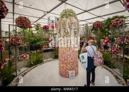 Ein Besucher der Chelsea Flower Show in London, Großbritannien, nimmt ein Foto von einem großen Blumenschau. Stockfoto