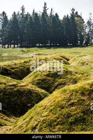 Original erhaltenen Schützengräben und Shell Krater in Newfoundland Memorial Park, Beaumont-Hamel, Somme Stockfoto