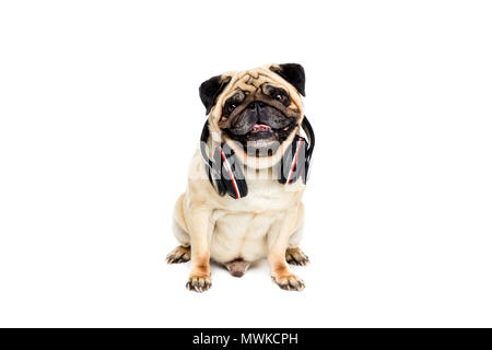 Studio geschossen von Mops Hund mit Kopfhörer, isoliert auf weißem Stockfoto
