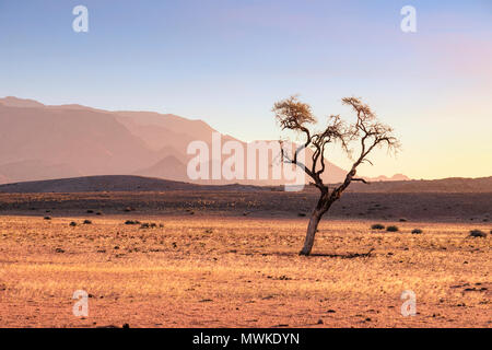 Brandberg, Namibia, Afrika Stockfoto