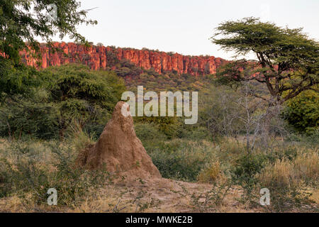 Waterberg Plateau Park, Namibia, Afrika Stockfoto