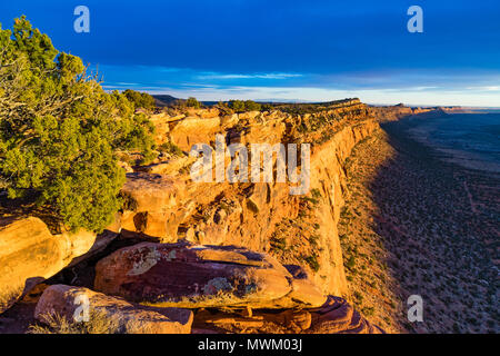 Blick nach Süden entlang Comb Ridge Klippen von oben im Abendlicht, Kamm unten Waschen, nördlich von Highway 95 West von Blanding, Utah und nördlich von Täuschung, Utah USA Stockfoto
