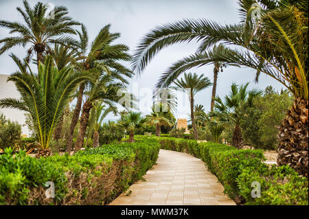 Weg zum Sandstrand auf tropisches Resort mit Palmen Stockfoto