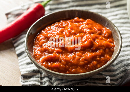 Hausgemachte würzige Harrisa Sauce in eine Schüssel geben. Stockfoto