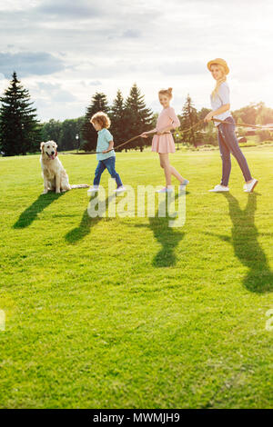 Glückliche junge Familie mit Golden Retriever Hund Wandern auf der grünen Wiese im Park Stockfoto