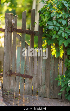 Alte hölzerne ländlichen Gatter geschlossen Stockfoto