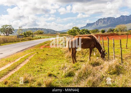 Anzeigen von Vinales Landschaft in Kuba. Stockfoto