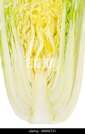 Napa cabbage Hälfte. Chinakohl. Querschnitt von oben, auf weißem Hintergrund. Auch als Nappa oder wombok. Brassica rapa Perkinensis. Stockfoto