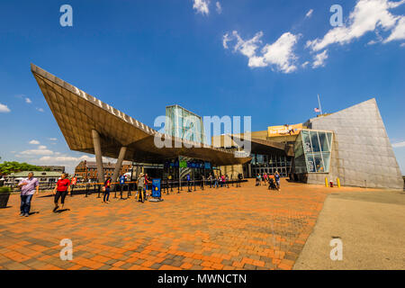 New England Aquarium Boston, Massachusetts, USA Stockfoto