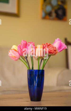 Ein Pfirsich themed Tulip Anordnung in einer blauen Vase. Mit Tulipa "Kupfer Bild', Tulipa 'Cacharel', Tulipa 'Pretty Princess' und 'Tulipa Apricot Foxx Stockfoto