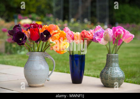 Rot, Pfirsich und rosa Blumen in Vasen themed. Mit Tulipa 'Rokoko', Tulipa von unlover', Tulipa 'Königinnentag', Tulipa 'Purple Flag', Tulip Stockfoto