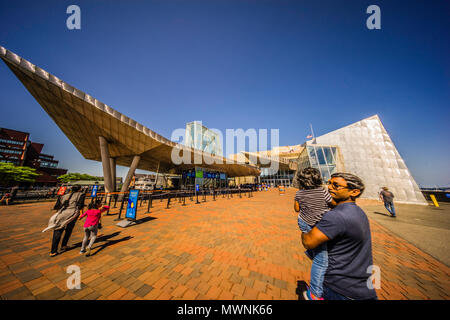 New England Aquarium Boston, Massachusetts, USA Stockfoto