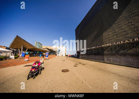 New England Aquarium Boston, Massachusetts, USA Stockfoto