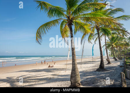 Itacaré, Brasilien - 7. Dezember 2016: spektakuläre und beeindruckende Paradise Beach an der Itacaré Bahia, Brasilien Nordosten Stockfoto