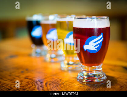 Bier Proben aus der Probierstube der Phillips Brauerei/Mälzerei Co., eine beliebte kanadische Microbrewery in Victoria, British Columbia, Kanada. Stockfoto