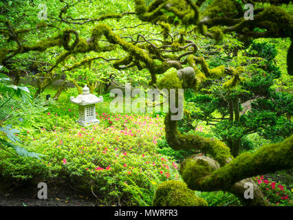 Moos bedeckt Zweige, japanische Ahorne, und ein Japanisches Stein Laterne der Japanische Garten in die Butchart Gärten schmücken im Sommer. Brentwood Bay, Kanada. Stockfoto