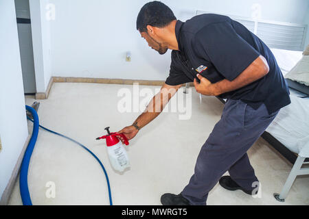 Miami Beach Florida, Teppichreinigung, Reinigung, hispanische lateinamerikanische Latino ethnische Einwanderer Minderheit, Mann Männer Erwachsene Erwachsene Erwachsene, Service, Haus, Haus ho Stockfoto