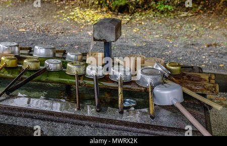 Wakayama, Japan - 24.November 2016. Tsukubai in buddhistischen Tempel. In Japan, ein tsukubai ist ein Waschbecken am Eingang zu den heiligen Stätten für die Besucher bereitgestellt Stockfoto