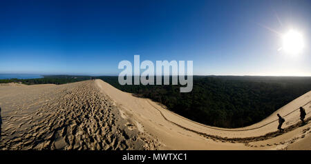 Düne in Pilat Test-de-Buch, 110 m hoch, der höchsten Sanddüne Europas, Nouvelle Aquitaine, Frankreich, Europa Stockfoto