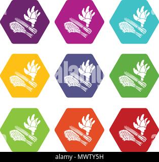 Green food Pflanze Symbole, Satz 9 Vektor Stock Vektor