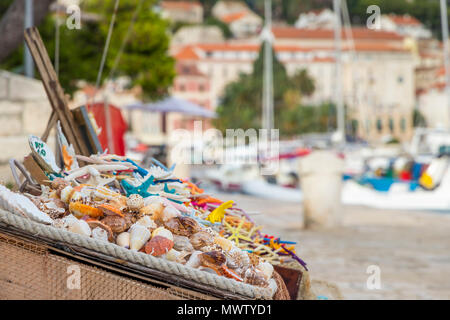 Kisten voller Muscheln und Seesternen für Verkauf an den Hafen der Stadt Hvar, Hvar, Kroatien, Europa Stockfoto