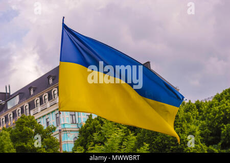 Ukrainische Flagge im Wind im Freien Stockfoto