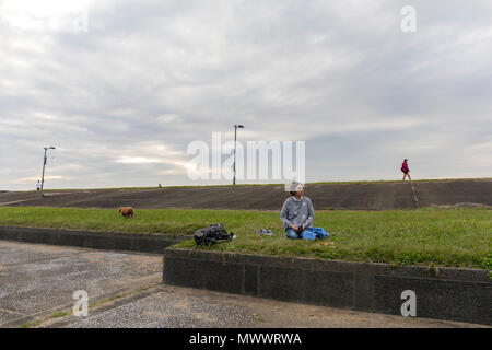 Frau alleine sitzen auf einem Rasen bei bewölktem Himmel mit ihrem Hund und zwei Leute, die sich für die Entfernung von ihr entfernt in verschiedenen directionsdiscon Stockfoto