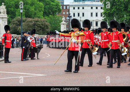 London, Großbritannien. 2. Juni 2018. Domhnall, einem schönen Irischen Wolfshund, ist und offizielles Maskottchen und Mitglied der Irish Guards. Londonern und Touristen genießen Sie die Prozession und Anzeige von Prunk von Truppen aus dem Haushalt Abteilung an der Oberst Überprüfung der die Farbe auf der Mall in Westminster. Der Oberst Überprüfung ist der zweite und letzte vollständige öffentliche Probe der die Farbe, eine Woche vor dem Geburtstag der Königin Parade. Es erfolgt entlang der Mall und Horse Guards Parade. Credit: Imageplotter Nachrichten und Sport/Alamy leben Nachrichten Stockfoto