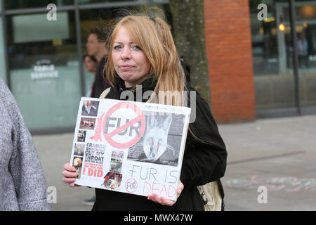 Manchester, Großbritannien. 2. Juni 2018. Animal Rights campaigner Halten ein anti Pelz Plakat, Piccadilly. Manchester, 2. Juni, 2018 (C) Barbara Cook/Alamy leben Nachrichten Stockfoto