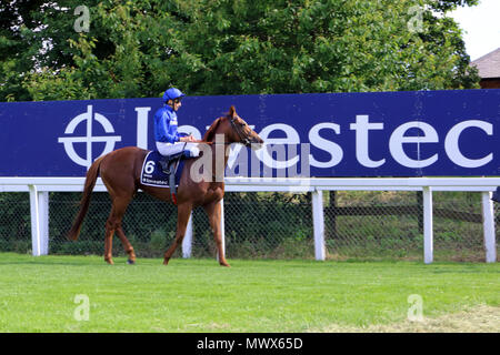 Epsom Downs Surrey UK. 2. Juni 2018. Derby in Epsom Downs. Derby Sieger Nr. 6 Masar geritten von Jockey William Buick Kopf für den Start. Credit: Julia Gavin/Alamy leben Nachrichten Stockfoto